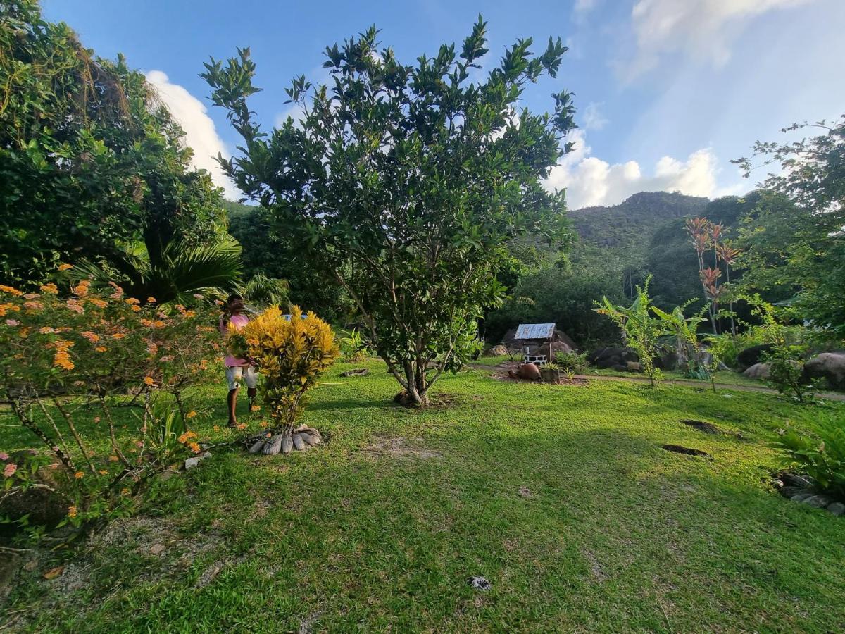 Mirella Villa Island Princess Villa Anse Volbert Village Exteriör bild